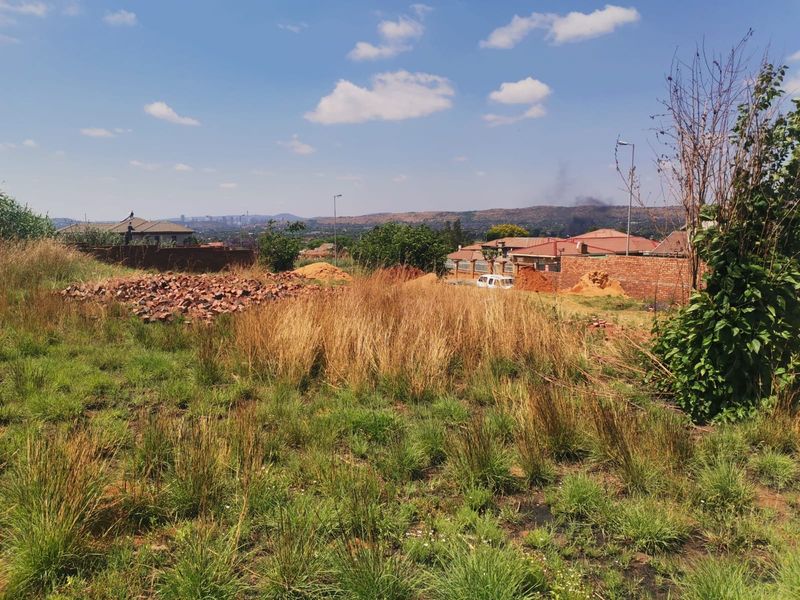 Prime 1037m2 Vacant Stand for Sale in Lady Selborne – Investors Dream! - Photo 3