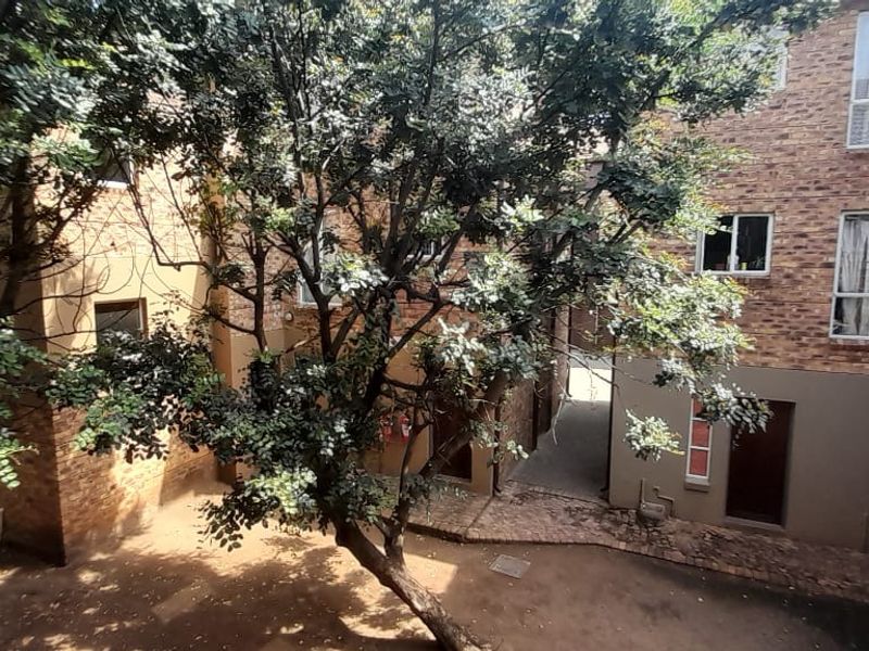 A view of the apartment complex rear courtyard featuring face-brick exterior walls, paved ground area, and established trees.
