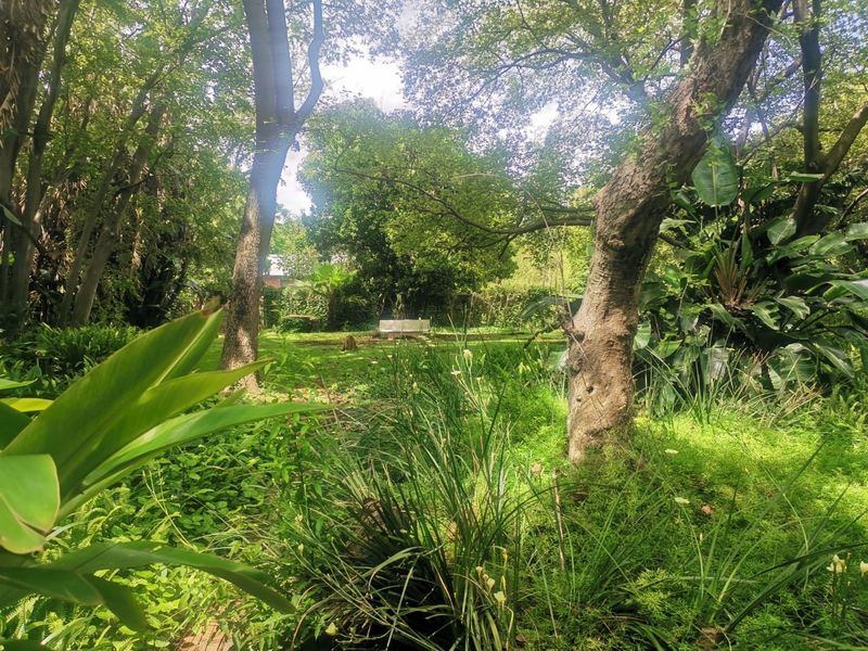 A lush, mature garden area featuring established trees and dense greenery, providing a natural and private outdoor setting.