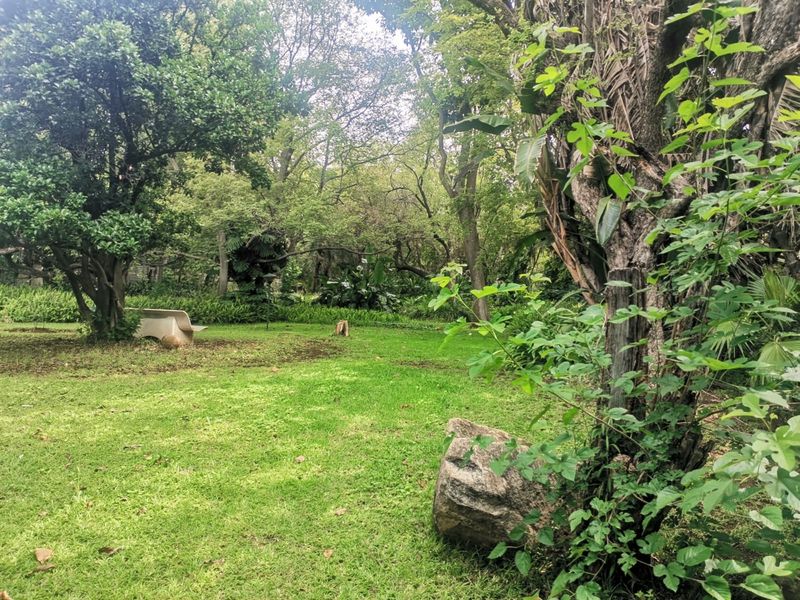 A lush, well-established garden area featuring mature trees, expansive green lawn, and a stone bench, offering a serene outdoor environment.