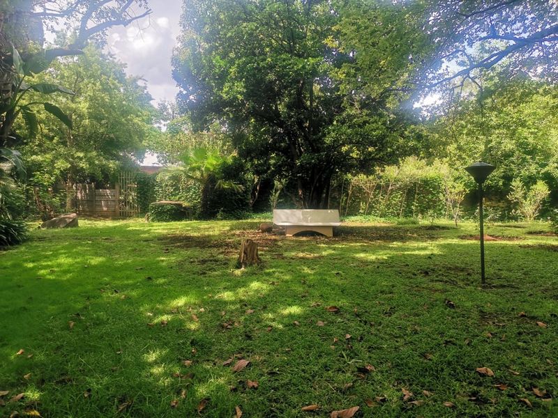 A spacious, mature garden area featuring established trees, a well-maintained lawn, and perimeter fencing, providing a peaceful outdoor setting.
