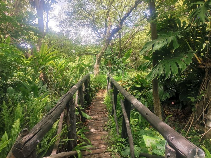 A rustic wooden footbridge crossing through a lush, densely planted garden area on the small holding.