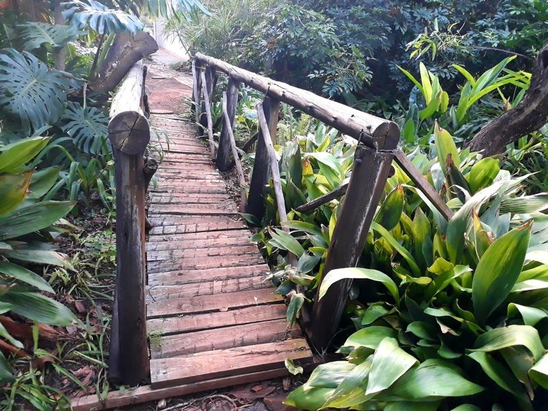 A rustic wooden footbridge set within a lush, established garden area, providing a natural pathway through the property's landscaping.