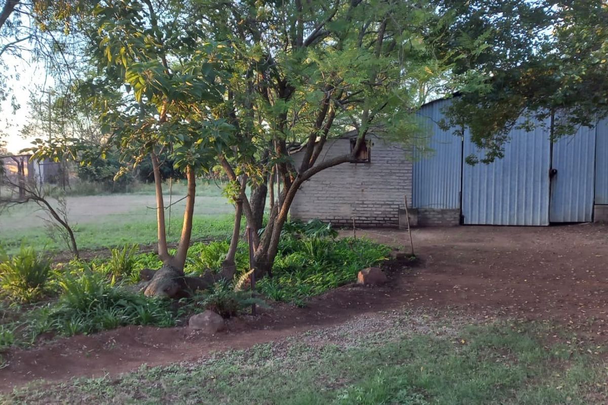 A view of a rustic farm outbuilding featuring corrugated metal siding and brick construction, situated in a natural garden setting.