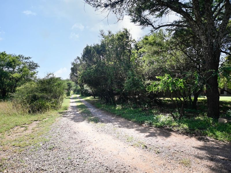 A Private Bushveld Sanctuary in Leeuwfontein Estate – Where Luxury Living Meets Wildlife Roaming. - Photo 3