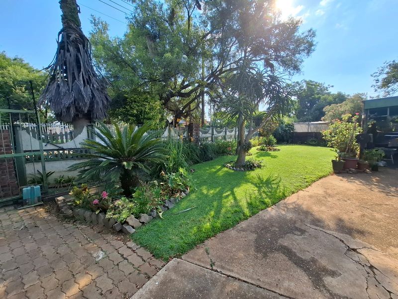 A well-maintained residential garden featuring a lush lawn, mature trees, landscaped garden beds, and a paved driveway with a concrete walkway.