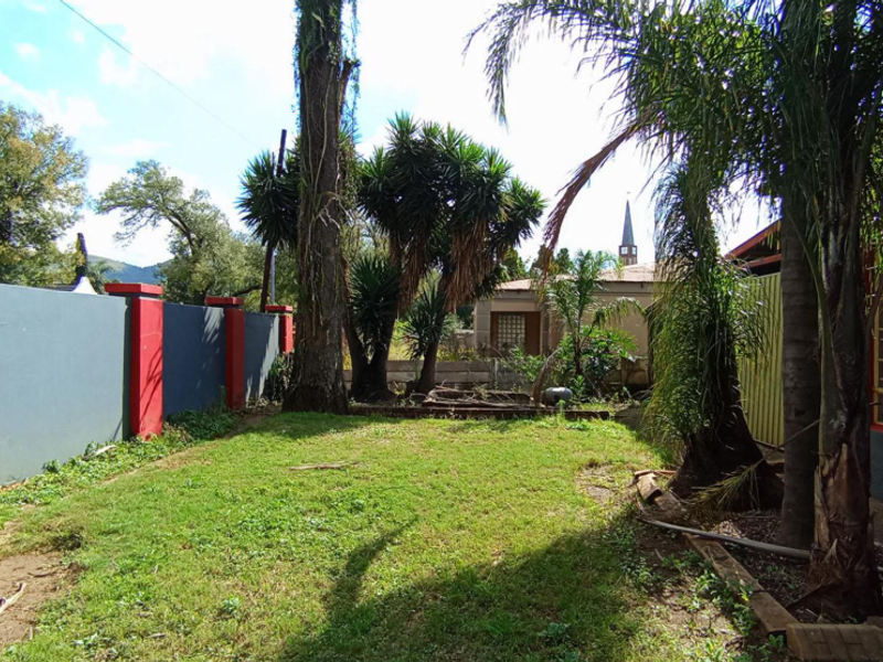 A rear garden area featuring a lawn, mature trees, and a painted boundary wall.