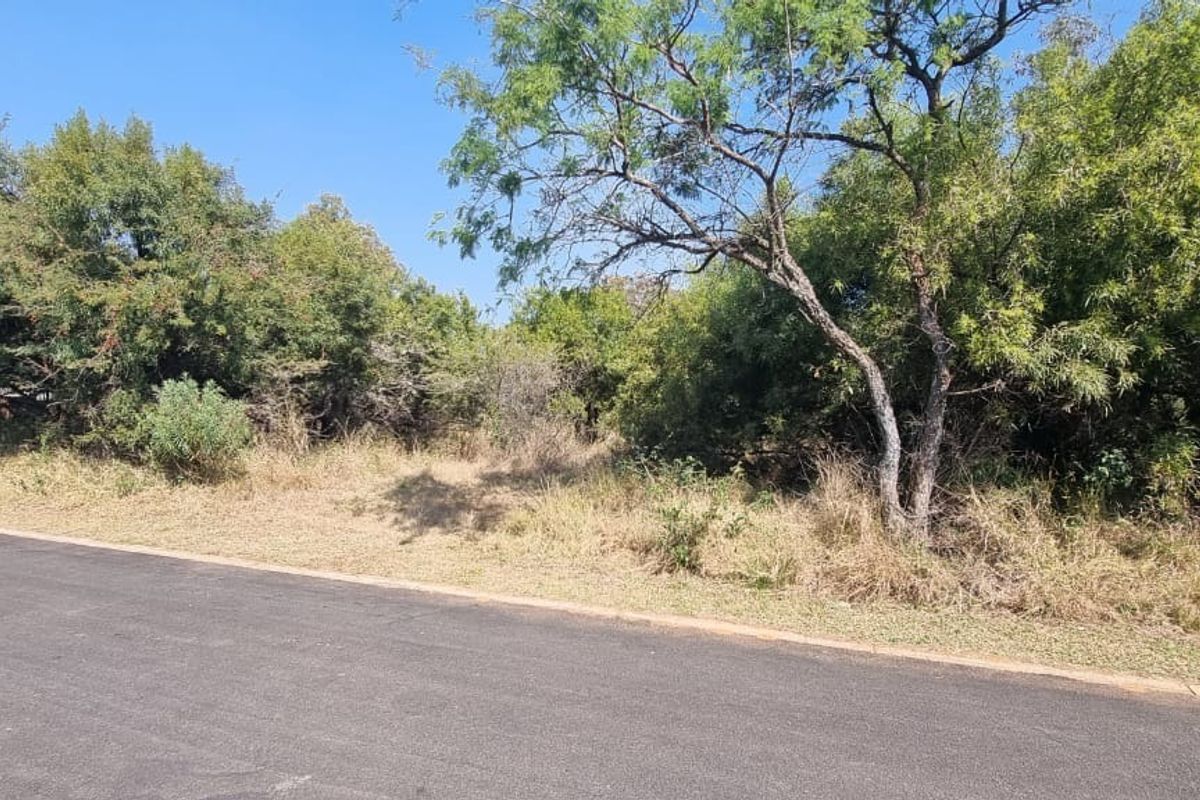 A view of the street frontage showing the asphalt road and natural vegetation on the vacant residential land.