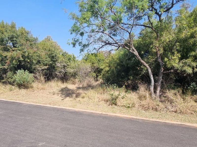 A view of the street frontage showing the asphalt road and natural vegetation on the vacant residential land.