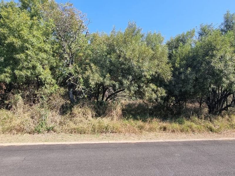 A street-level view of a vacant residential plot featuring established trees and natural vegetation along the roadside.