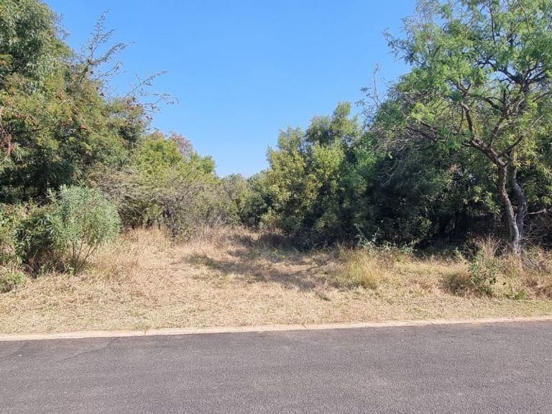 A view of a vacant residential plot from the street, featuring established trees and natural vegetation along the roadside.