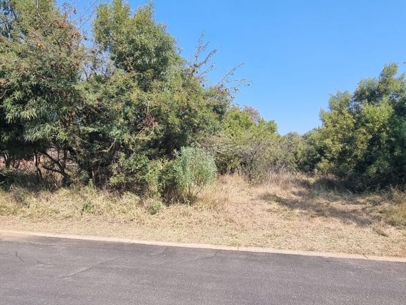 A view of a vacant residential plot from the adjacent asphalt road, featuring established native trees and natural ground cover.