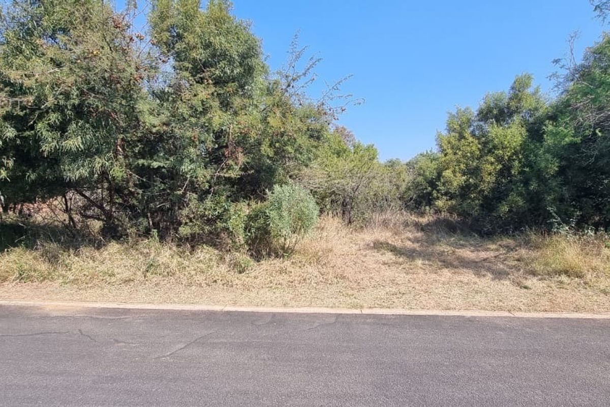A street-level view of a vacant residential plot featuring mature trees and natural vegetation, accessible from an established asphalt road.