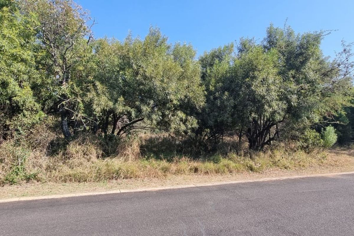 A view of a vacant residential plot featuring mature trees and natural vegetation, bordering an asphalt road with a concrete kerb.