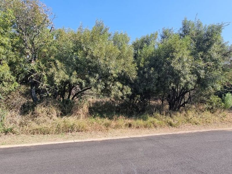 A view of a vacant residential plot featuring mature trees and natural vegetation, bordering an asphalt road with a concrete kerb.