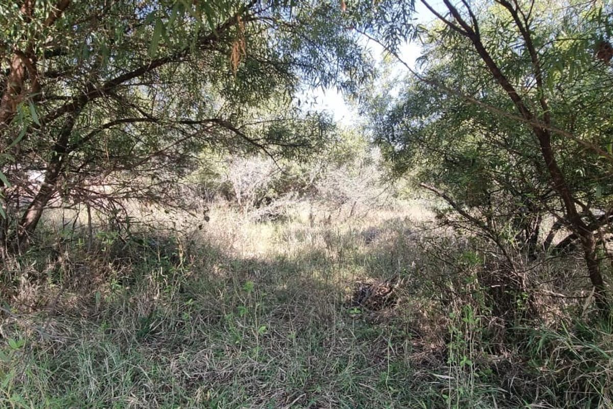 A view of a vacant residential plot featuring dense, mature trees and natural vegetation cover.