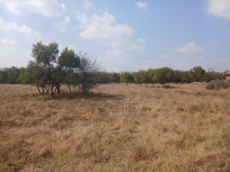 A view of a vacant residential plot featuring natural grassland and mature trees under a clear sky.