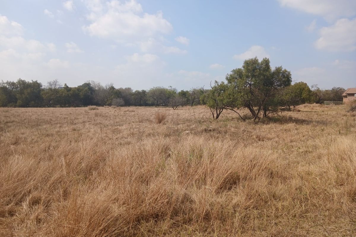 A wide-angle view of a vacant residential plot featuring dry grass and scattered mature trees under a clear sky.