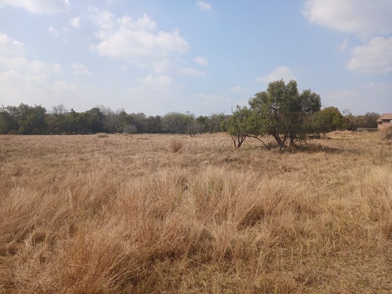 A wide-angle view of a vacant residential plot featuring dry grass and scattered mature trees under a clear sky.