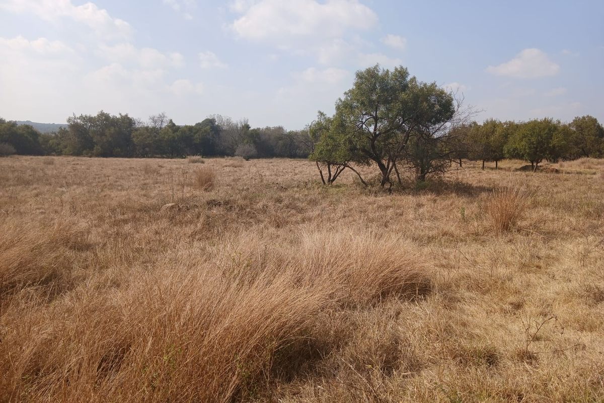A view of the vacant residential land featuring dry grass and mature trees across the property.