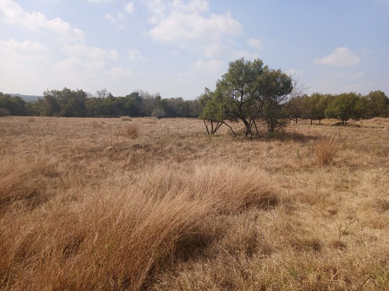 A view of the vacant residential land featuring dry grass and mature trees across the property.