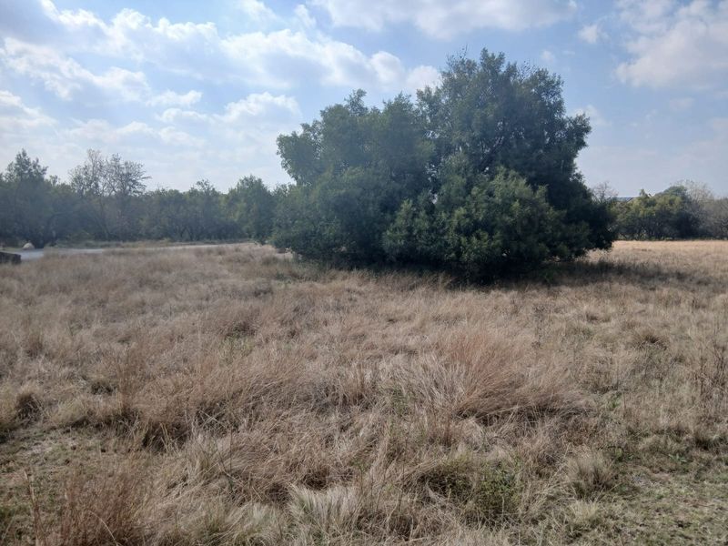 A view of a vacant residential plot featuring natural grassland and mature trees, offering a blank canvas for future development.
