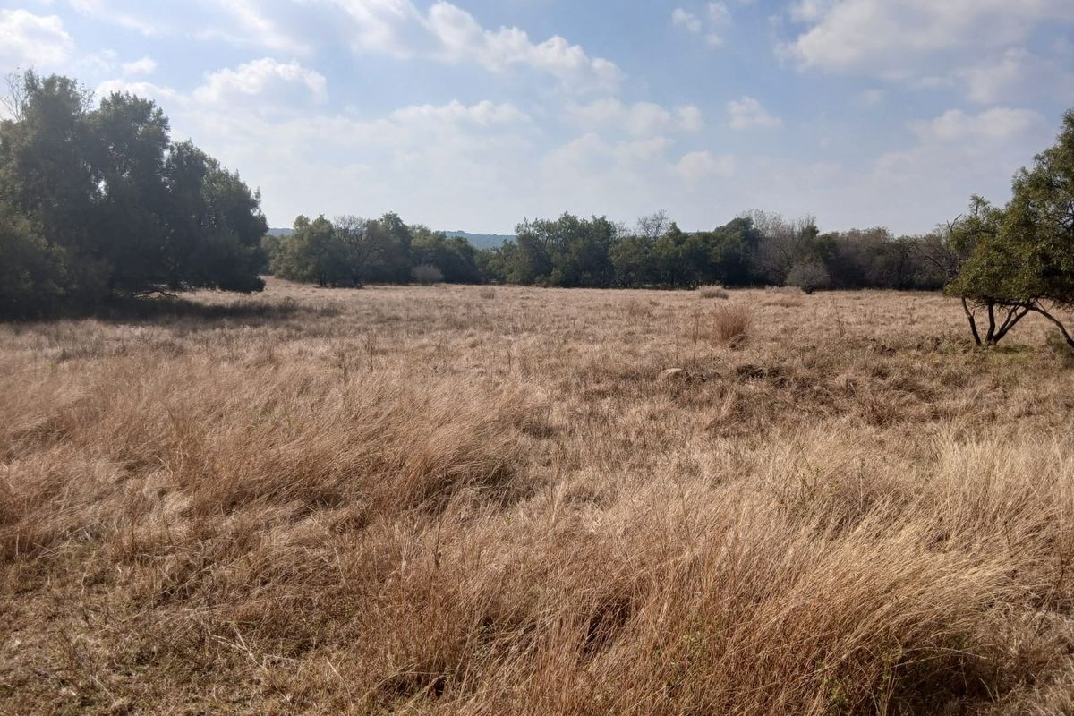 A wide-angle view of a vacant residential plot featuring natural dry grass and mature trees under a clear sky.
