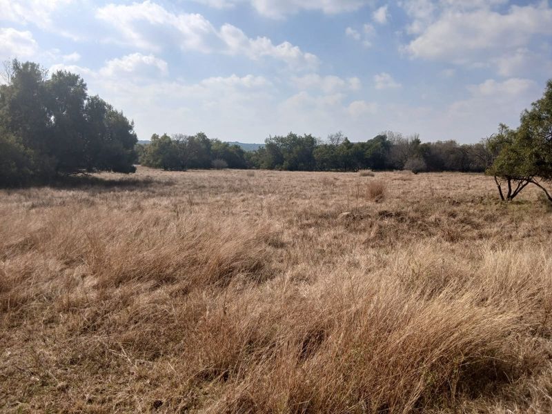 A wide-angle view of a vacant residential plot featuring natural dry grass and mature trees under a clear sky.