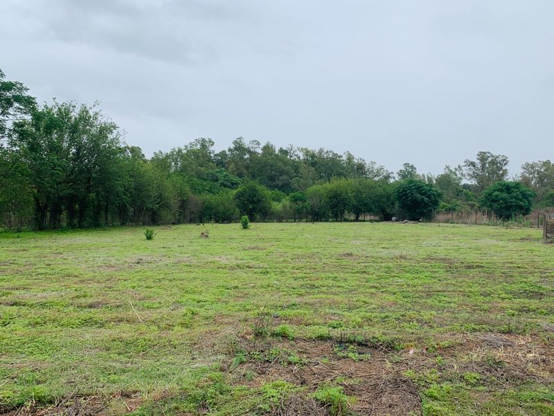 A spacious, open grassed area on a small holding, featuring established trees and perimeter fencing, offering potential for landscaping or agricultural use.