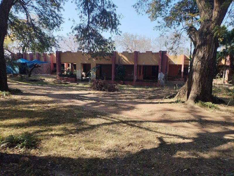 Rear view of a single-story building featuring a covered patio area with concrete pillars, set within a large, mature garden.