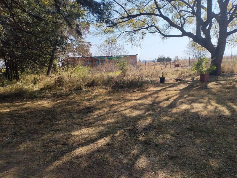 A view of the expansive garden area featuring mature trees and natural landscaping on the small holding property.