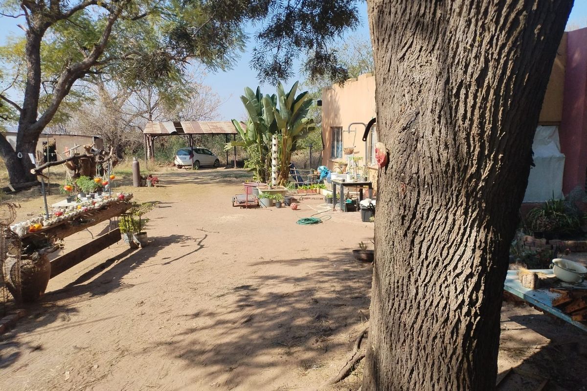 A view of the rear exterior area of the small holding, featuring a carport, mature trees, and an unpaved yard space.