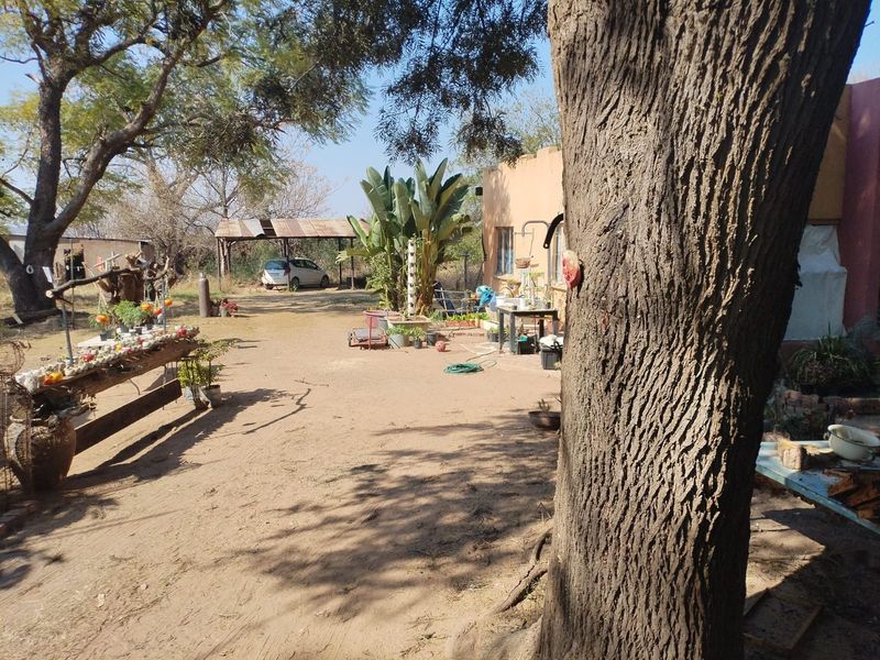 A view of the rear exterior area of the small holding, featuring a carport, mature trees, and an unpaved yard space.