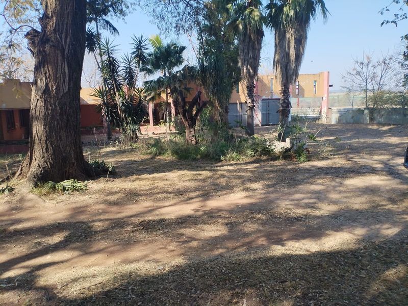 Rear view of the property showing a large, unmaintained garden area with mature trees and access to the garage structure.