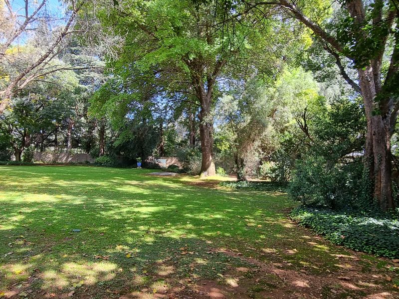 Semi face brick, 5-bedroom house in Henley on Klip - Photo 10