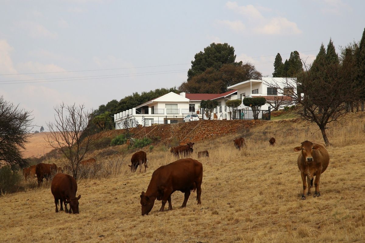 Farm For Sale In Vereeniging - Photo 5