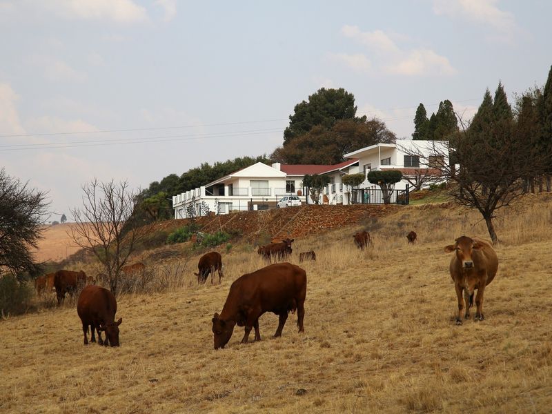 Farm For Sale In Vereeniging - Photo 5