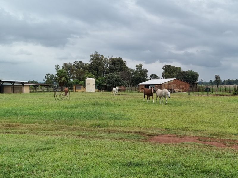 Expansive small holding grounds featuring open pasture, perimeter fencing, a water tank, and various outbuildings suitable for agricultural or equestrian use.