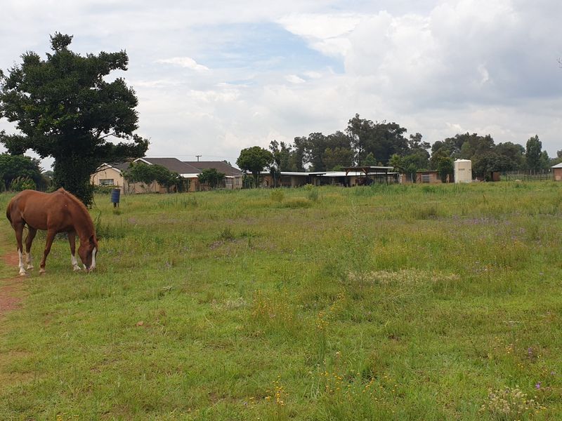 Expansive small holding grounds featuring open grazing land, mature trees, and visible outbuildings with a water storage tank.