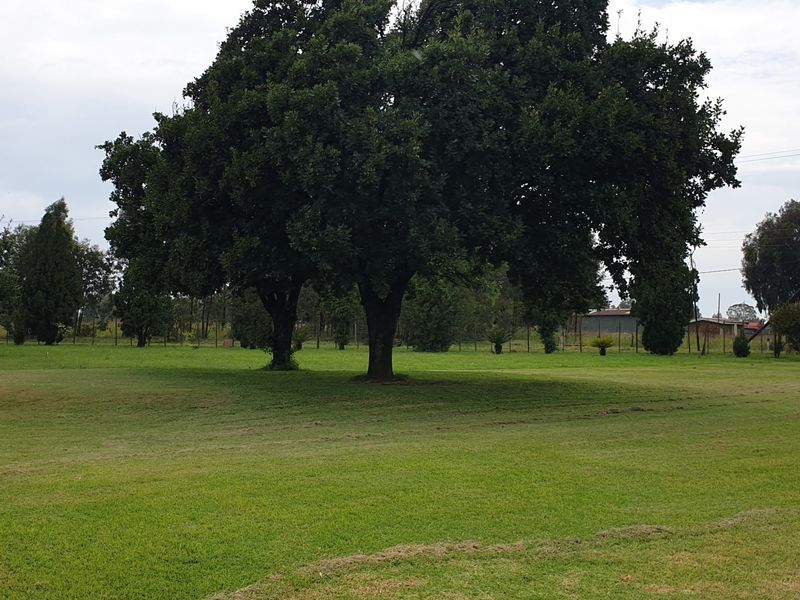 A spacious, well-maintained garden area featuring mature trees and expansive lawn, enclosed by perimeter fencing on a small holding property.