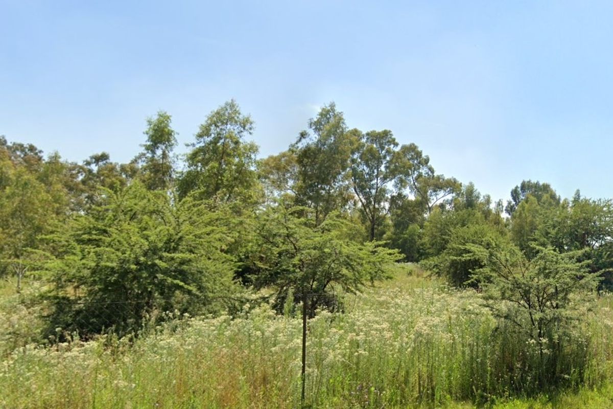 Land in Riversdale for Development - Photo 3