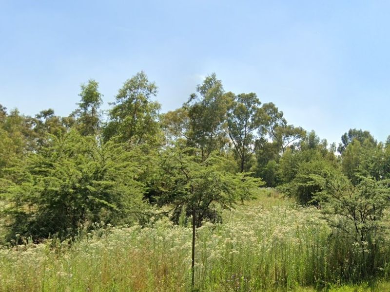 Land in Riversdale for Development - Photo 3