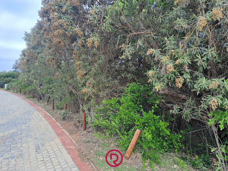 A Rare Coastal Sanctuary in Monate Eco Estate, Herolds Bay - Photo 7