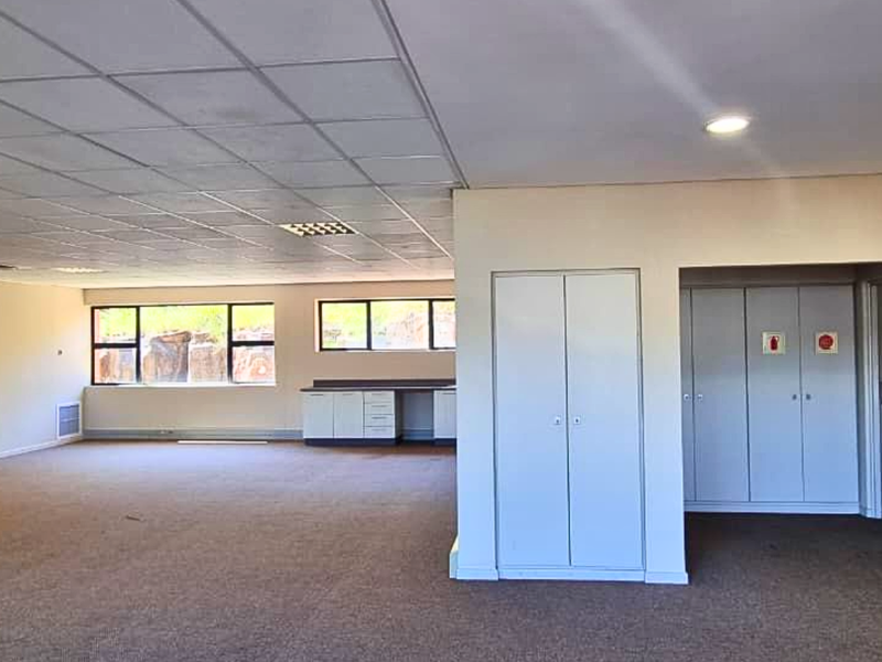 Spacious open-plan office area featuring a suspended ceiling, recessed lighting, built-in storage cabinetry, and large windows providing natural light.