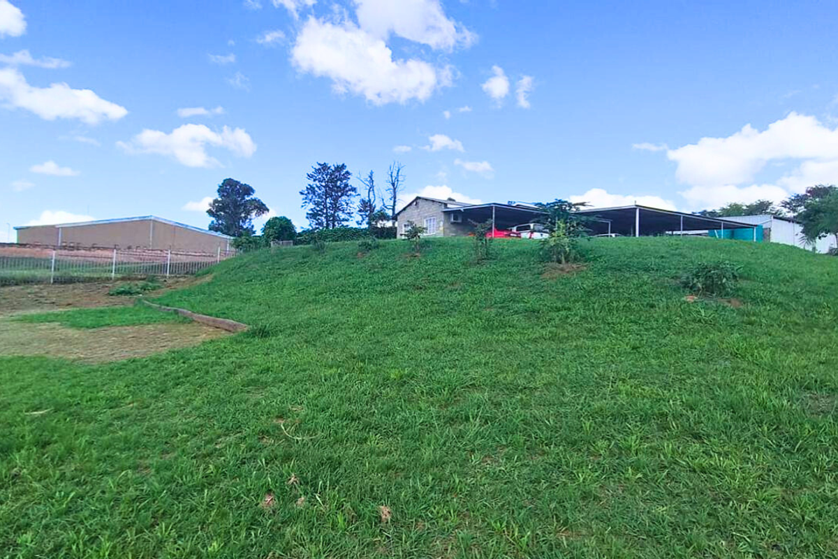 A wide-angle view of the property grounds featuring a sloped lawn area leading up to the industrial building with covered parking structures.