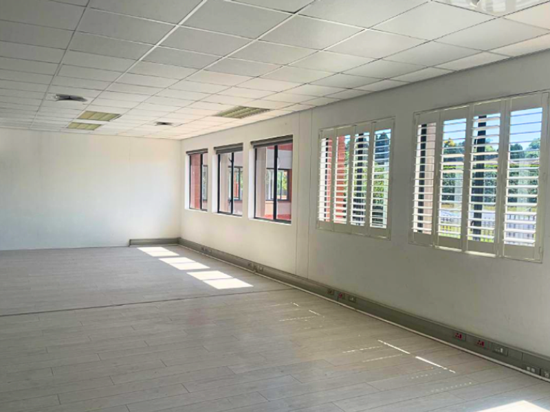 A bright, vacant office space featuring a suspended ceiling, laminate flooring, and large windows fitted with white plantation shutters.