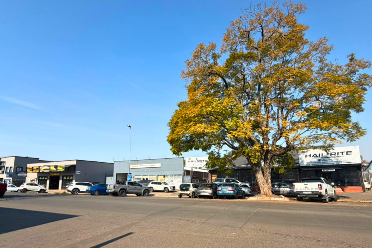 Street view of a commercial property row featuring multiple business storefronts, paved road access, and a large mature tree.