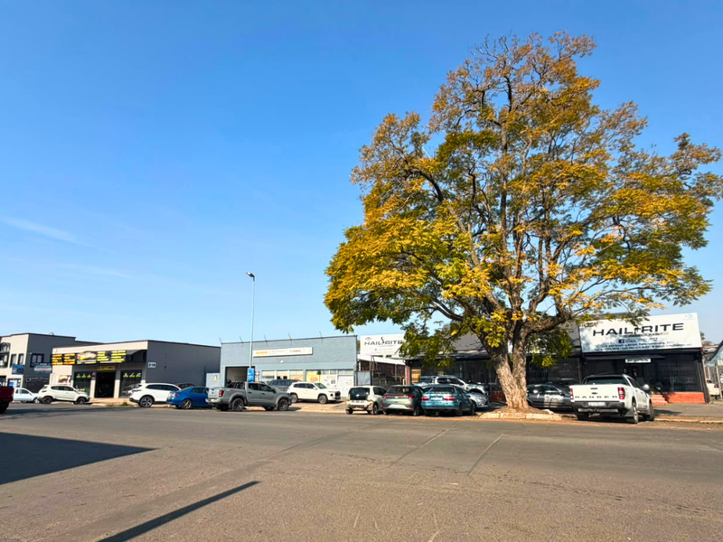 Street view of a commercial property row featuring multiple business storefronts, paved road access, and a large mature tree.