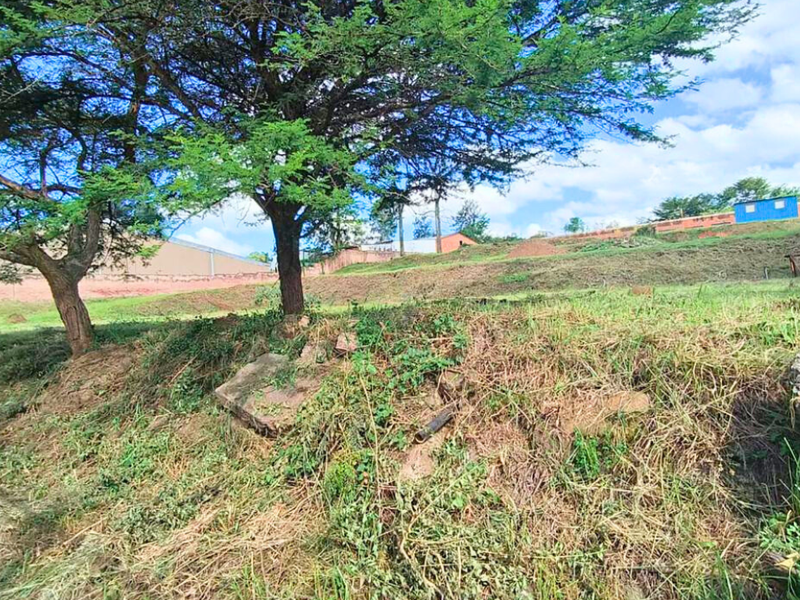 Prime Commercial Opportunity in Camps Drift!!! - Photo 5