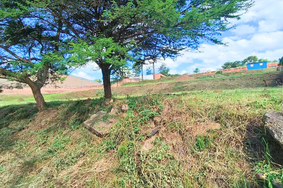 A view of the undeveloped industrial land featuring mature trees, sloping terrain, and surrounding perimeter fencing.